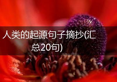 人类的起源句子摘抄(汇总20句)