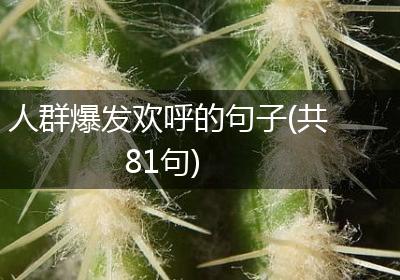 人群爆发欢呼的句子(共81句)