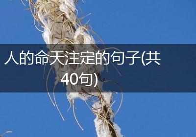 人的命天注定的句子(共40句)