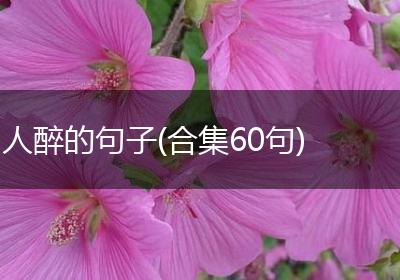 人醉的句子(合集60句)