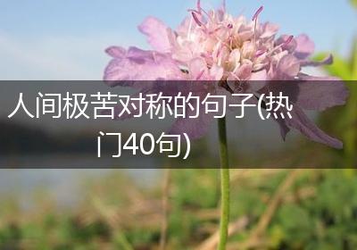 人间极苦对称的句子(热门40句)