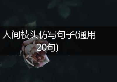 人间枝头仿写句子(通用20句)