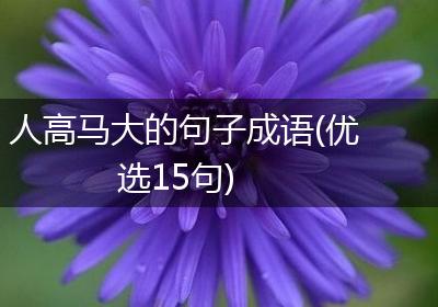 人高马大的句子成语(优选15句)