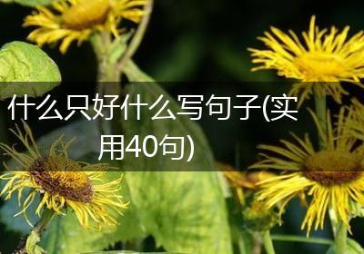 什么只好什么写句子(实用40句)