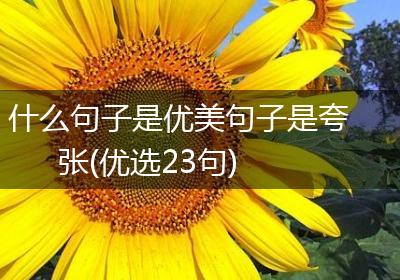 什么句子是优美句子是夸张(优选23句)