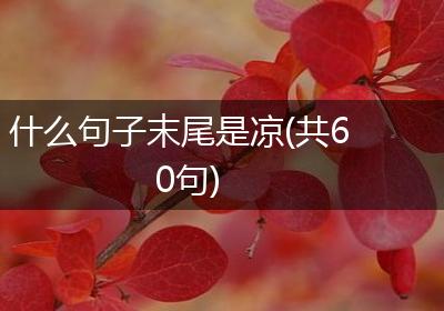 什么句子末尾是凉(共60句)