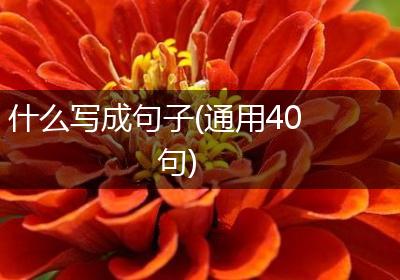 什么写成句子(通用40句)