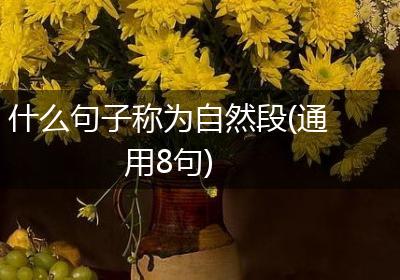 什么句子称为自然段(通用8句)