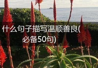 什么句子描写温顺善良(必备50句)