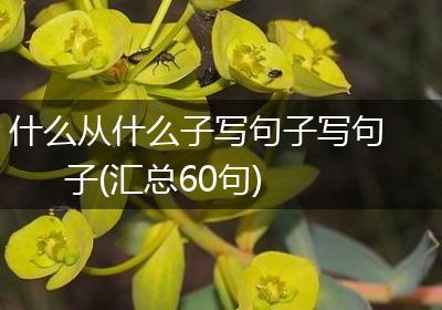 什么从什么子写句子写句子(汇总60句)