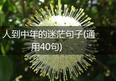 人到中年的迷茫句子(通用40句)