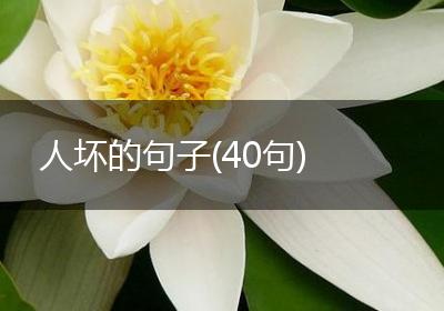 人坏的句子(40句)