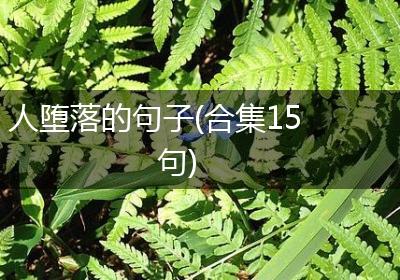 人堕落的句子(合集15句)