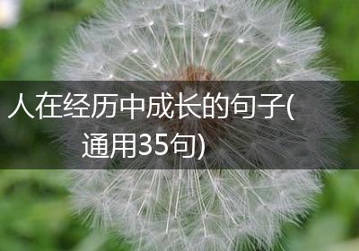 人在经历中成长的句子(通用35句)