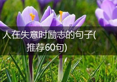 人在失意时励志的句子(推荐60句)