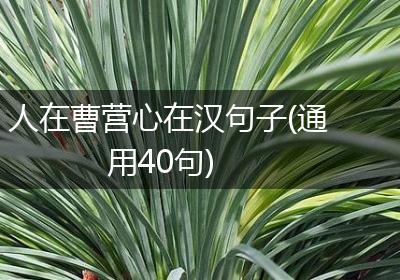 人在曹营心在汉句子(通用40句)