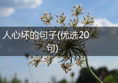 人心坏的句子(优选20句)