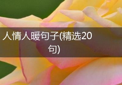 人情人暖句子(精选20句)