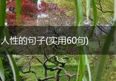 人性的句子(实用60句)