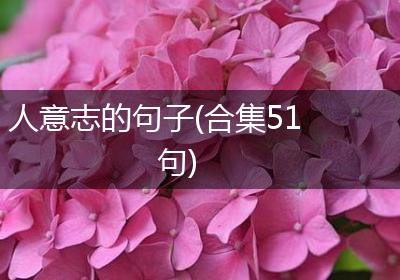 人意志的句子(合集51句)