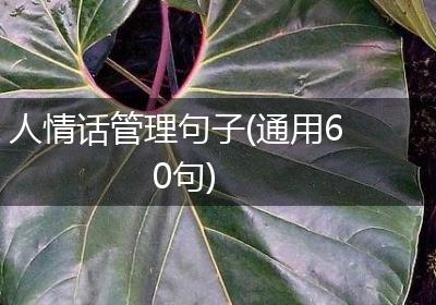人情话管理句子(通用60句)