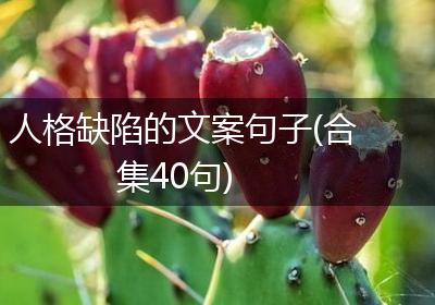 人格缺陷的文案句子(合集40句)