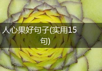 人心果好句子(实用15句)
