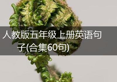 人教版五年级上册英语句子(合集60句)