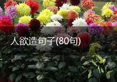 人欲造句子(80句)