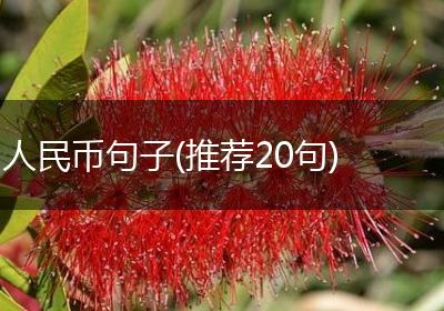 人民币句子(推荐20句)