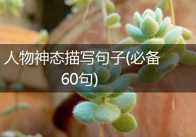 人物神态描写句子(必备60句)