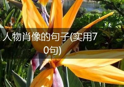 人物肖像的句子(实用70句)