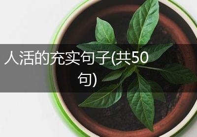 人活的充实句子(共50句)