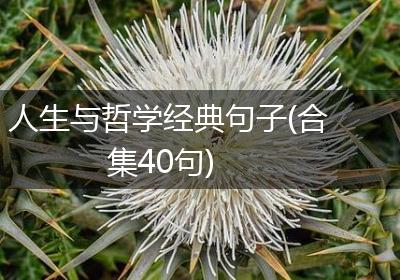 人生与哲学经典句子(合集40句)