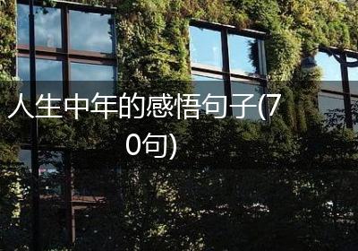 人生中年的感悟句子(70句)