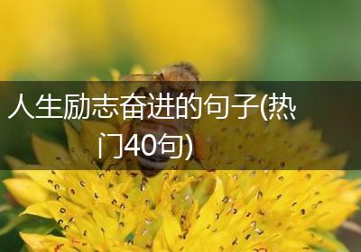 人生励志奋进的句子(热门40句)