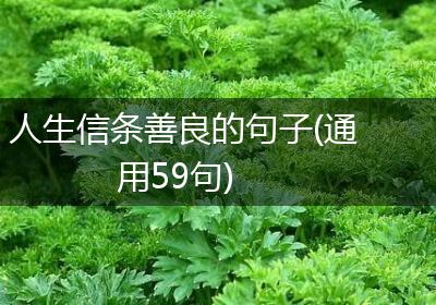 人生信条善良的句子(通用59句)