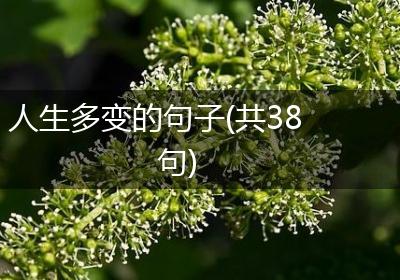 人生多变的句子(共38句)