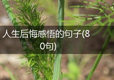 人生后悔感悟的句子(80句)