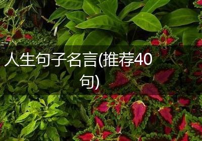人生句子名言(推荐40句)