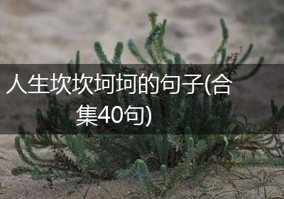 人生坎坎坷坷的句子(合集40句)