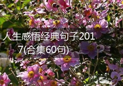 人生感悟经典句子2017(合集60句)