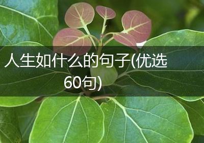 人生如什么的句子(优选60句)