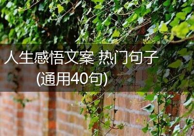 人生感悟文案 热门句子(通用40句)
