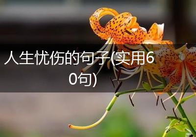人生忧伤的句子(实用60句)