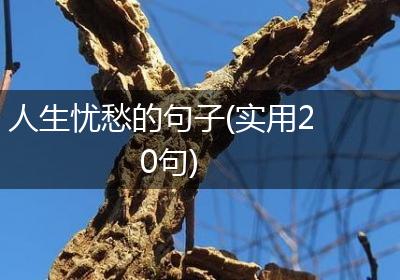人生忧愁的句子(实用20句)