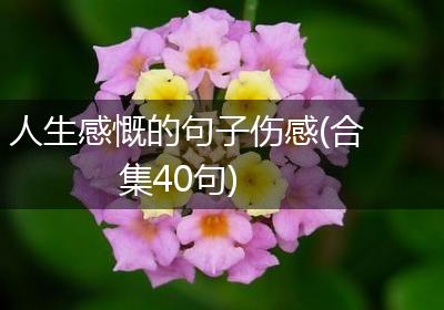 人生感慨的句子伤感(合集40句)