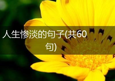人生惨淡的句子(共60句)