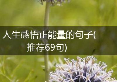 人生感悟正能量的句子(推荐69句)
