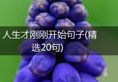 人生才刚刚开始句子(精选20句)